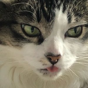 Sold don’t buy ☺️